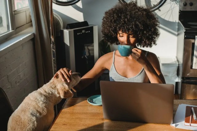 All You Need to Know About Moving Company Reviews