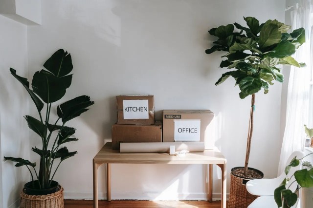 Common shipping delays and how to prevent them