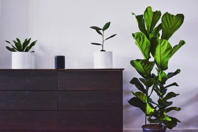 Disassembling Furniture for a Move: Tips &#038; Tricks