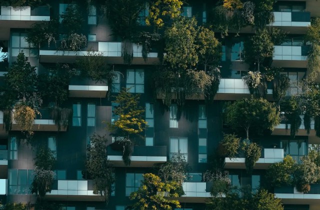 Evolution and future of self storage