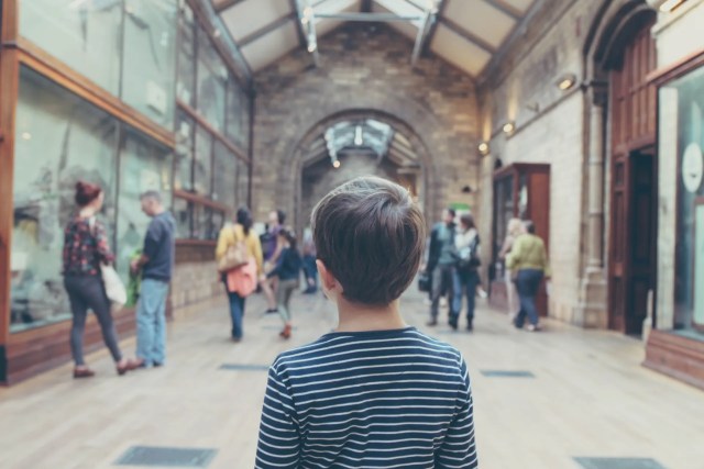 Exploring Your New Backyard: Must-Visit Attractions in the Seattle Area