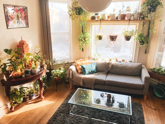 From House to Home: How to Personalize Your Seattle Residence