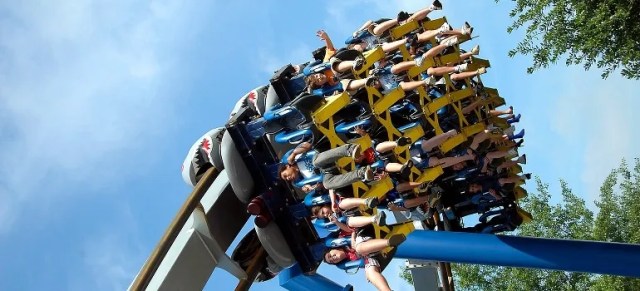 Fun activities in Newcastle WA to explore