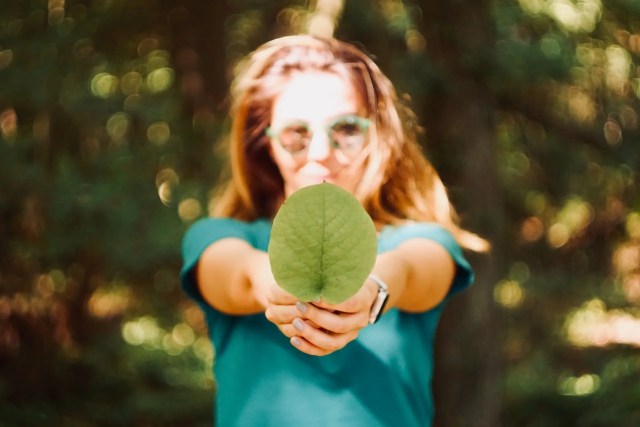 Green Moving Tips for Beginners