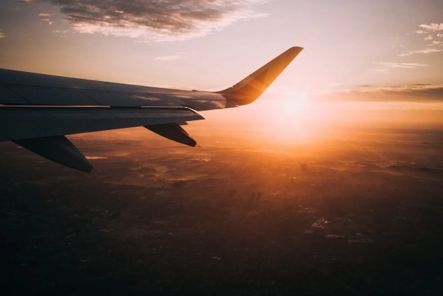 Guide to Moving Abroad With Cats