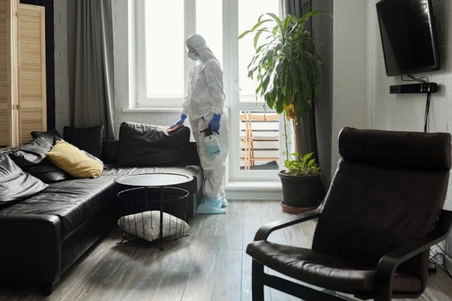 How to Pest-proof Your Seattle Home After Moving