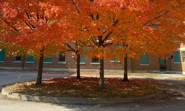 Insider&#8217;s Guide to Moving to Monroe WA
