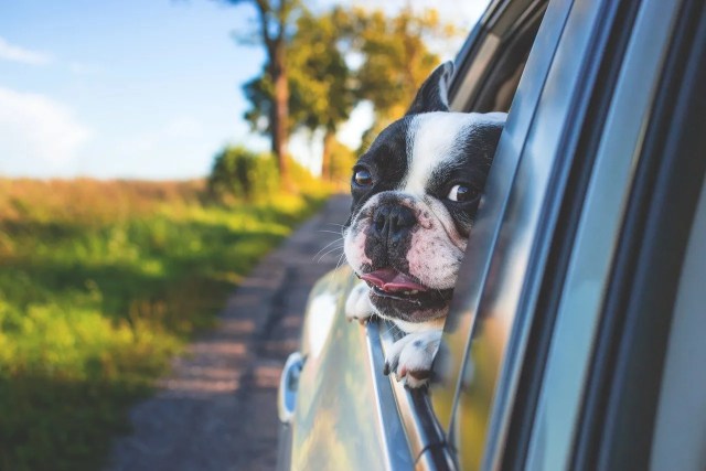 Items you need to transport personally when moving