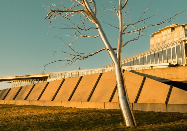 Must-see Attractions for Seattle&#8217;s New Residents