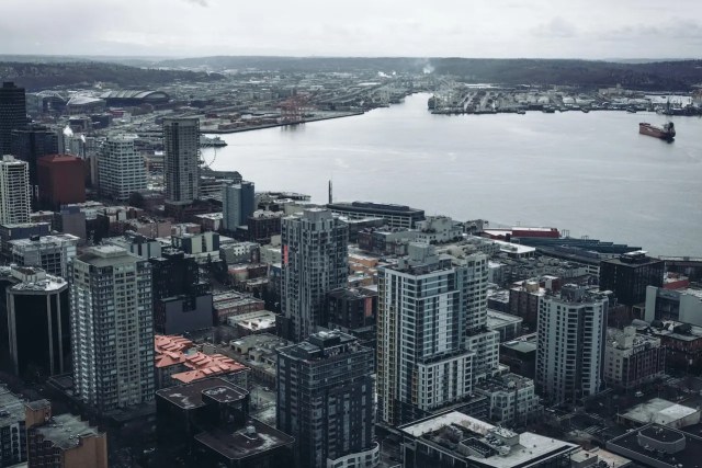 Overcoming Challenges of Fall Relocation in Puget Sound