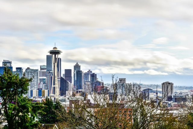Pet Services and Regulations in Seattle for New Residents