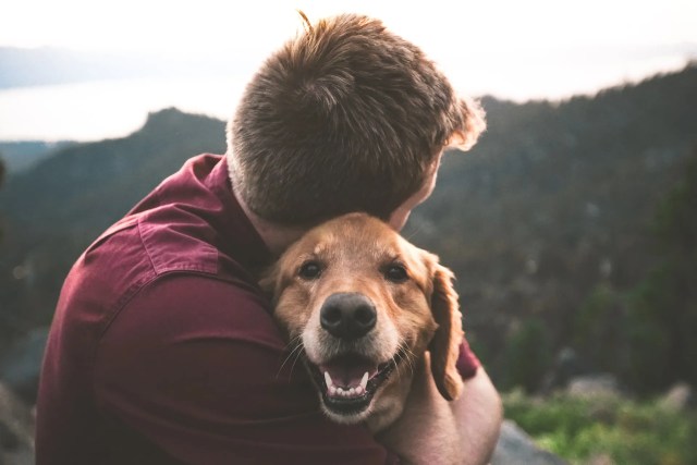 Prepare pets for a cross-country move with ease