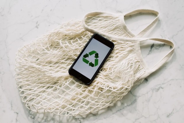 Pack your way to a greener move: Sustainable packing materials