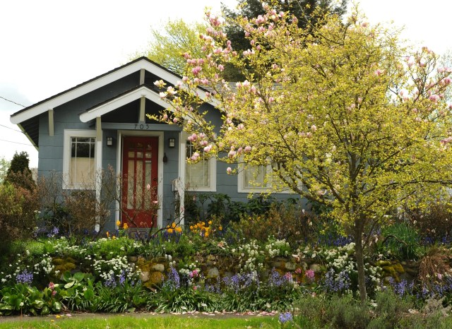 The Allure of Suburban Living in the SMA