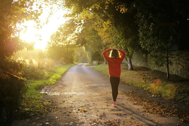 What are the benefits of living in Lynnwood