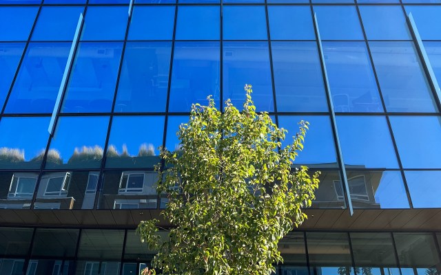 What to expect when moving from Kirkland to Redmond?